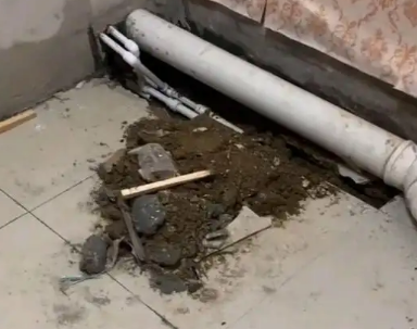 柳北卫生间漏水检测哪家好